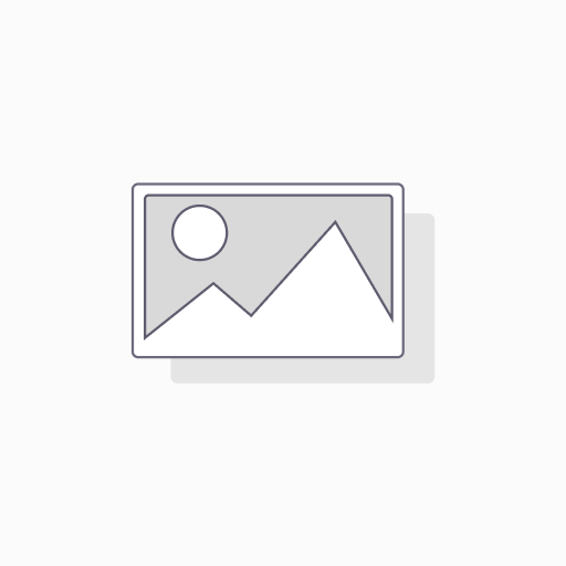 Tragebox "Caddy"